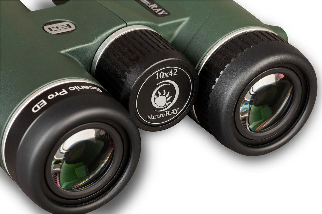 Scenic Pro ED 10x42