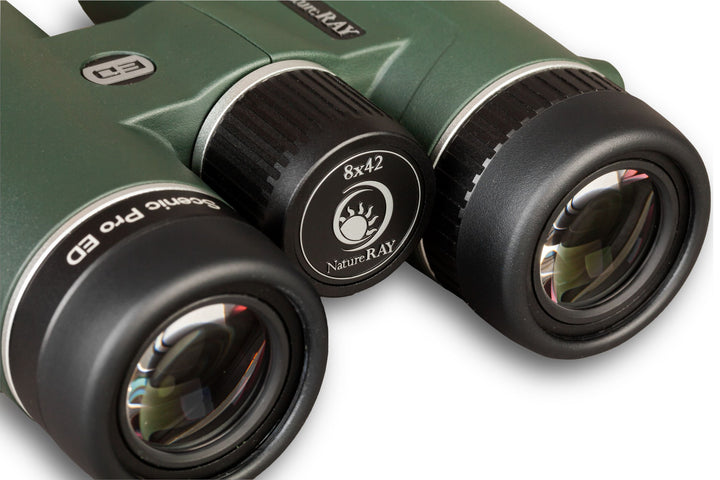 Scenic Pro ED 8x42