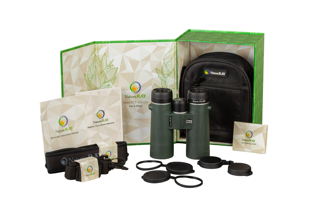 Scenic Pro ED 10x42